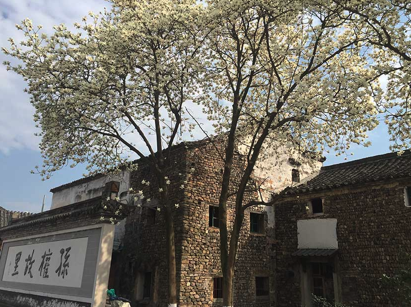 �Ϲ�NG��28(�й�)����Ʒ���������޹�˾